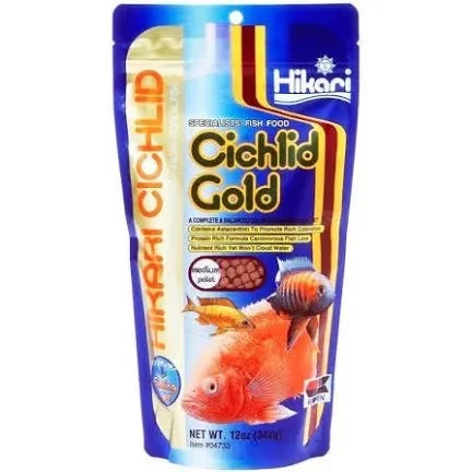 hikari-sinking-cichlid-gold