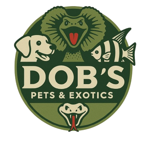 Poultry treats bundle